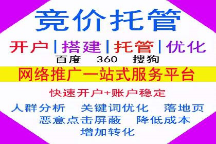 竞价排名中的数据分析和优化案例